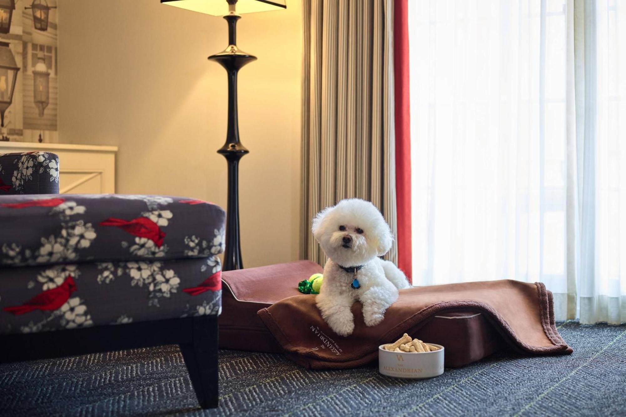 The Alexandrian Old Town Alexandria, Autograph Collection Hotel Luaran gambar